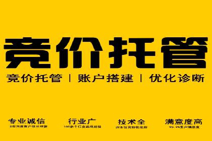 SEM专员如何通过数据分析优化广告投放